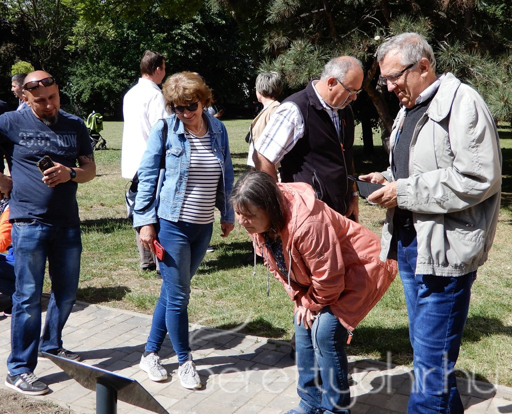 Életfa ültetés a város napján 42